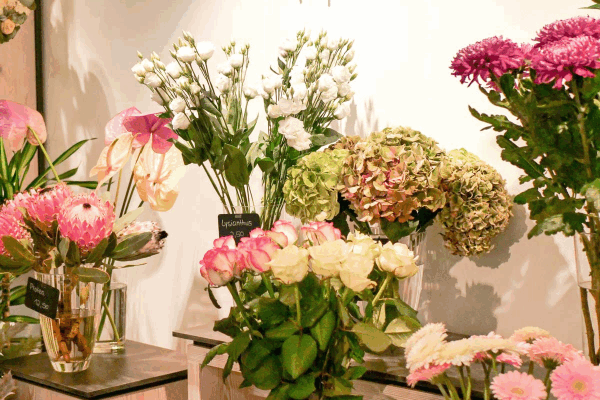 Bild 1 von Die Blumerie ELISA KORTH